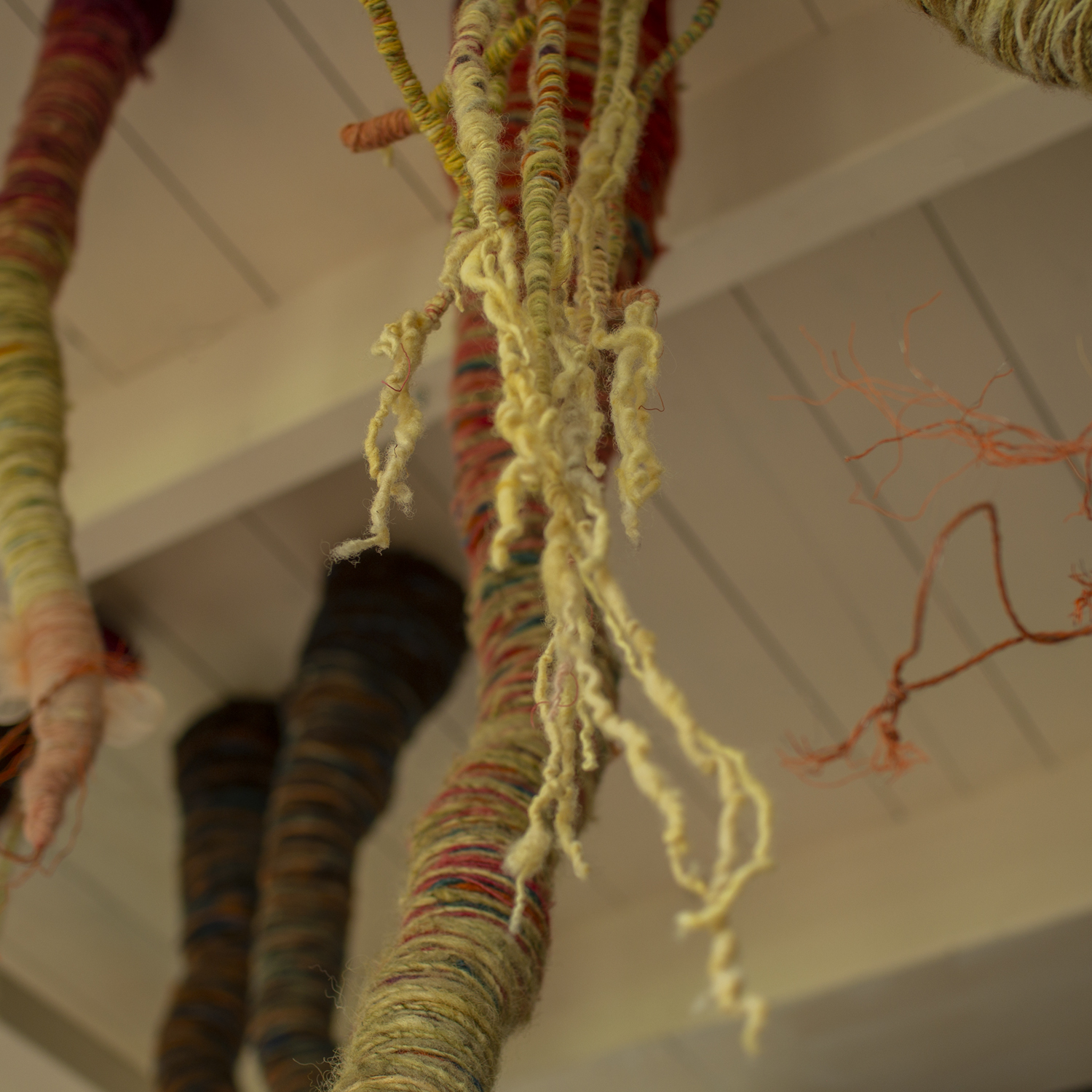 2024-2025, 26 okt – 2 feb,  ‘100 jaar is niets’ Museum Heerenveen